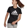 Adidas Essentials Logo T-Shirt
