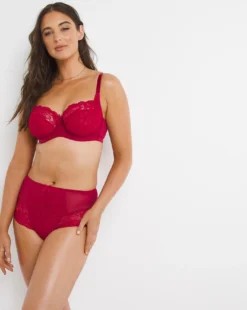 Panache Imogen High Waist Briefs